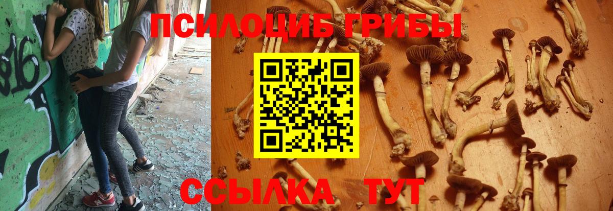 Галлюциногенные грибы Cubensis  Вход с VPN  Рубцовск  Псилоцибиновые грибы мицелий 
